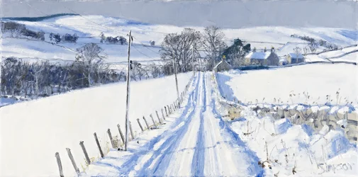 Schnee, Newhall, 2010