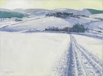 Weg durch den Schnee, 2016