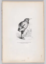 Alt, gebrochen, verwittert, skurril, aber gut, aber häuslich von Temperament, ca. 1837-47