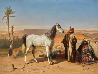 Ein Araber in der Wüste