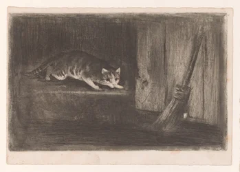 Katze und Maus
