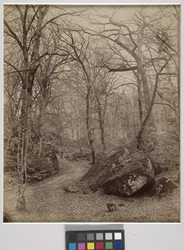 Fontainebleau, ca. 1870