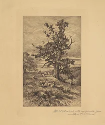 Landschaft mit Schafen