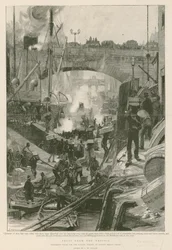 Früchte aus den Tropen