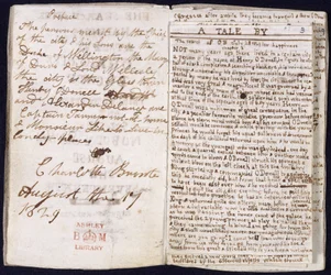 Die Suche nach dem Glück
