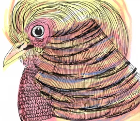 Tropischer Vogel, 2018