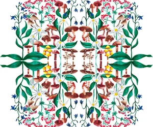 Wilde Pflanzen