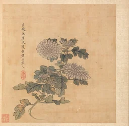 Gemälde nach alten Meistern: Chrysantheme, 1598-1652