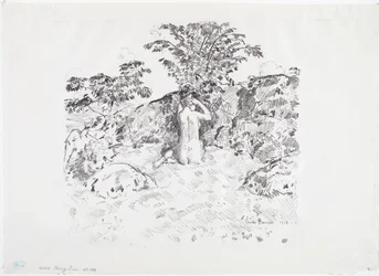 Wilder Kirschbaum
