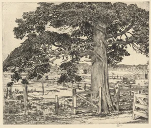 Große Zeder, Wainscott, L. I., 1929