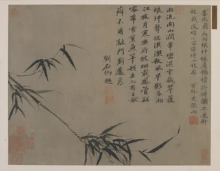 Ein Bambusspross, möglicherweise Qing-Dynastie