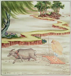 Bauer bei der Arbeit auf den Reisfeldern