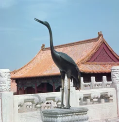 Statue eines Storches mit einem Seitenpavillon der Halle der höchsten Harmonie im Hintergrund, Ming-Dynastie