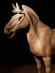 Terrakotta-Armee Pferd, Mausoleum des Kaisers Qin Shi Huang, 3. Jahrhundert v. Chr. (Foto)