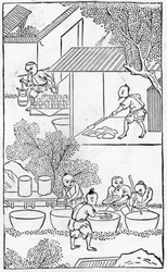 Ton waschen, aus einer Serie von Illustrationen zur Herstellung von Porzellan