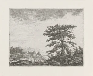 Baum in einer Heidelandschaft