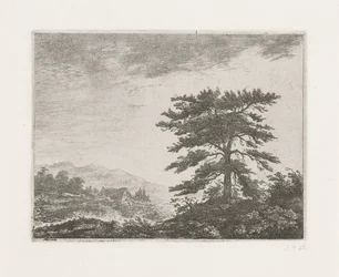Baum in einer Heidelandschaft