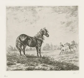 Landschaft mit drei Pferden