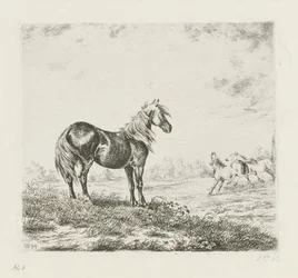 Landschaft mit drei Pferden