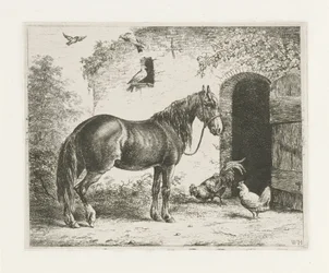 Pferd mit Halfter