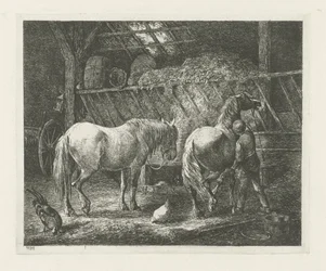 Stallinterieur mit zwei Pferden