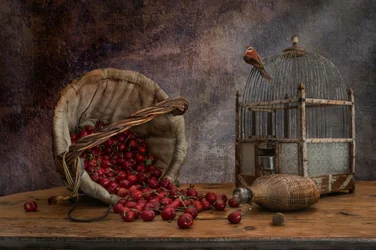 Vintage-Vogelkäfig und Kirschen