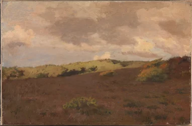 Heidelandschaft. Herbst