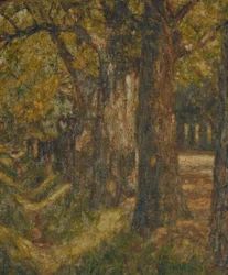 Belvedere Allee im Hochsommer