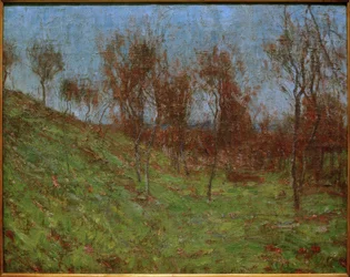 Wiesenabhang