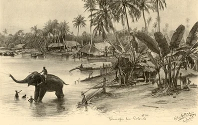 Waschen eines Elefanten im Fluss, Colombo, Ceylon, 1898