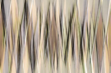 Abstrakte erdige Linien