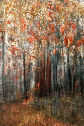 Herbstwaldglühen