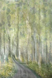 Träumender Waldweg