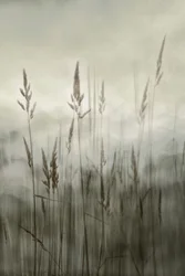Ätherisches hohes Gras