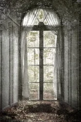 Vergessenes Waldfenster