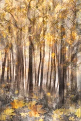 Goldener Herbstwald