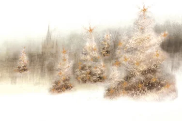 Magische Winterbäume
