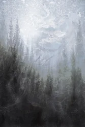 Nebliger Winterwald