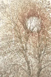 Weicher Herbstbaum