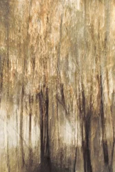 Ruhige Waldbewegung