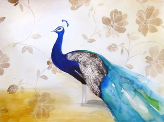 Eleganter blauer Pfau