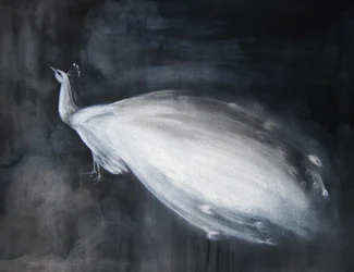 Ätherischer weißer Pfau