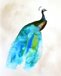 Fließender blau-grüner Pfau