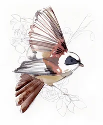 Fliegender Aquarellvogel