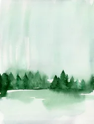 Nebliger Waldsee