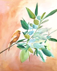Orangener Vogel auf Ast
