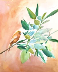 Orangener Vogel auf Ast