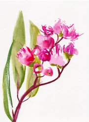Lebhafte rosa Blüten