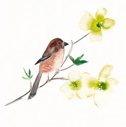 Aquarell Vogel Blumen