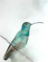Aquarell Türkiser Kolibri